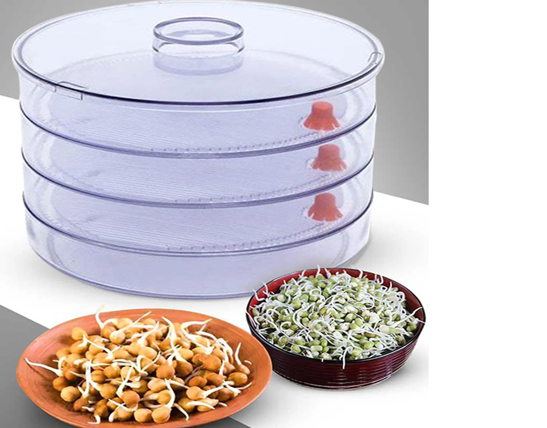 Plastic 4 Compartment Sprout Maker, White