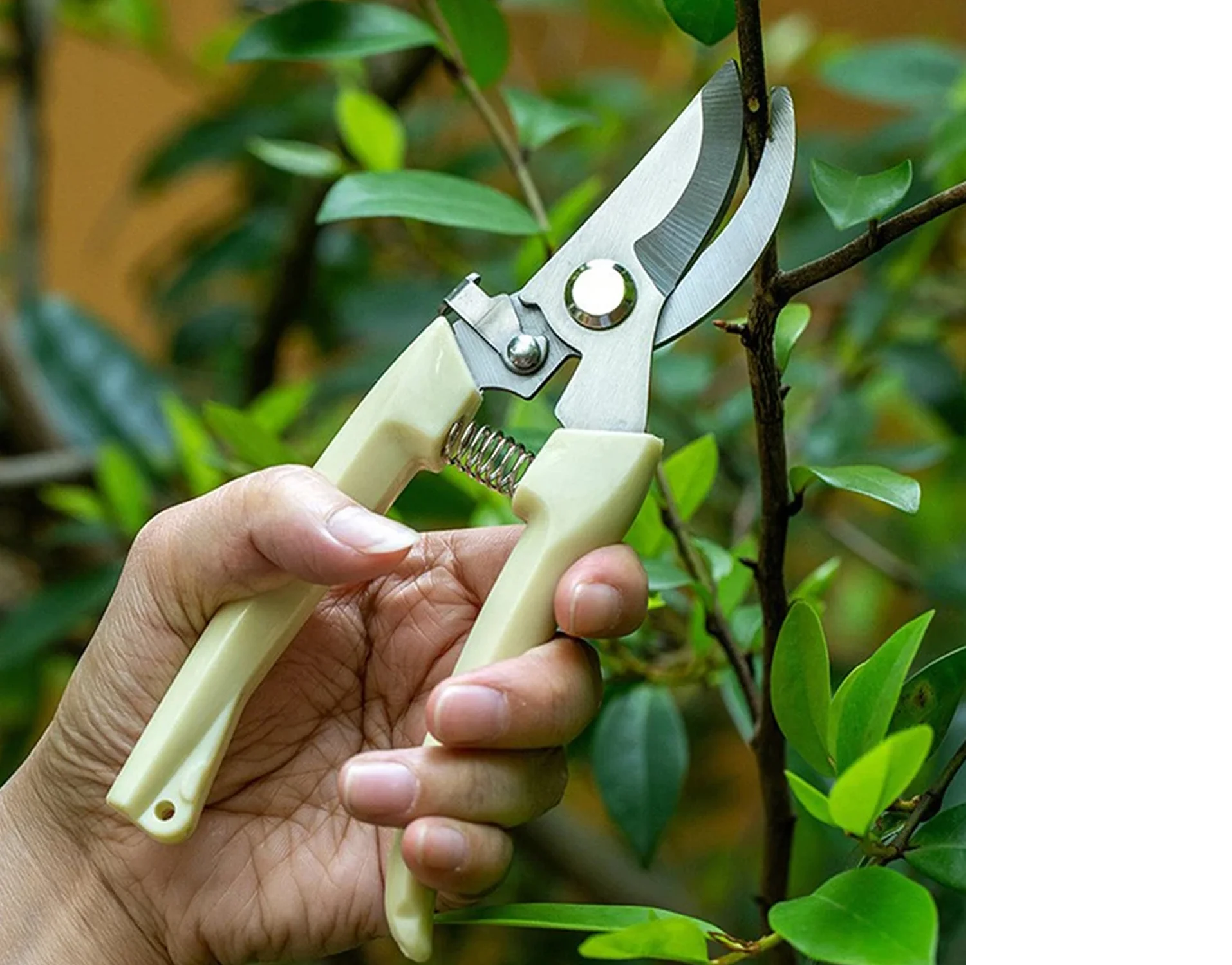 Plant Cutter for Home Garden, Wood Bran (1 Pc)