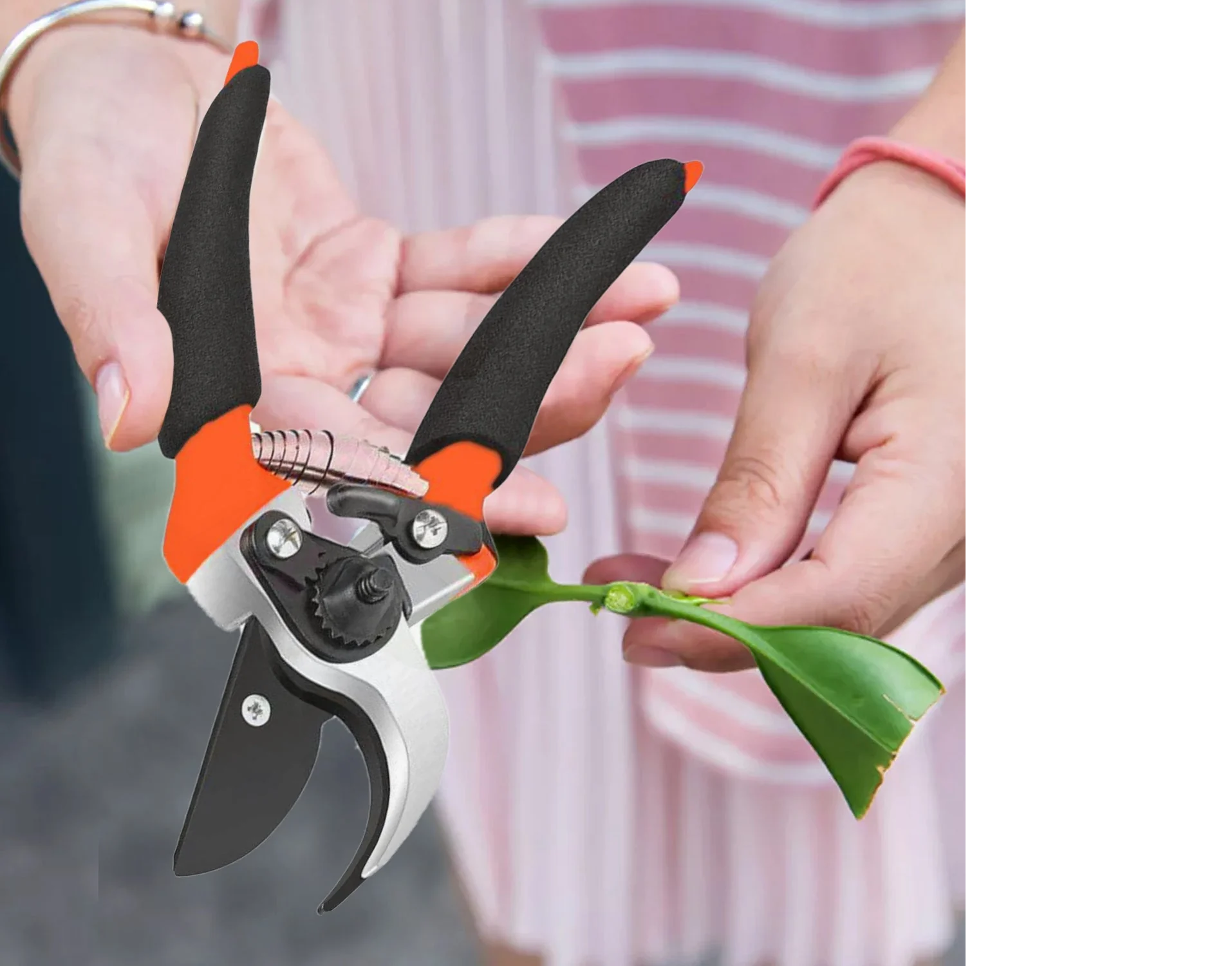 Garden Shears Sharp Cutter Pruners Scissor, Pruner, flower cutter