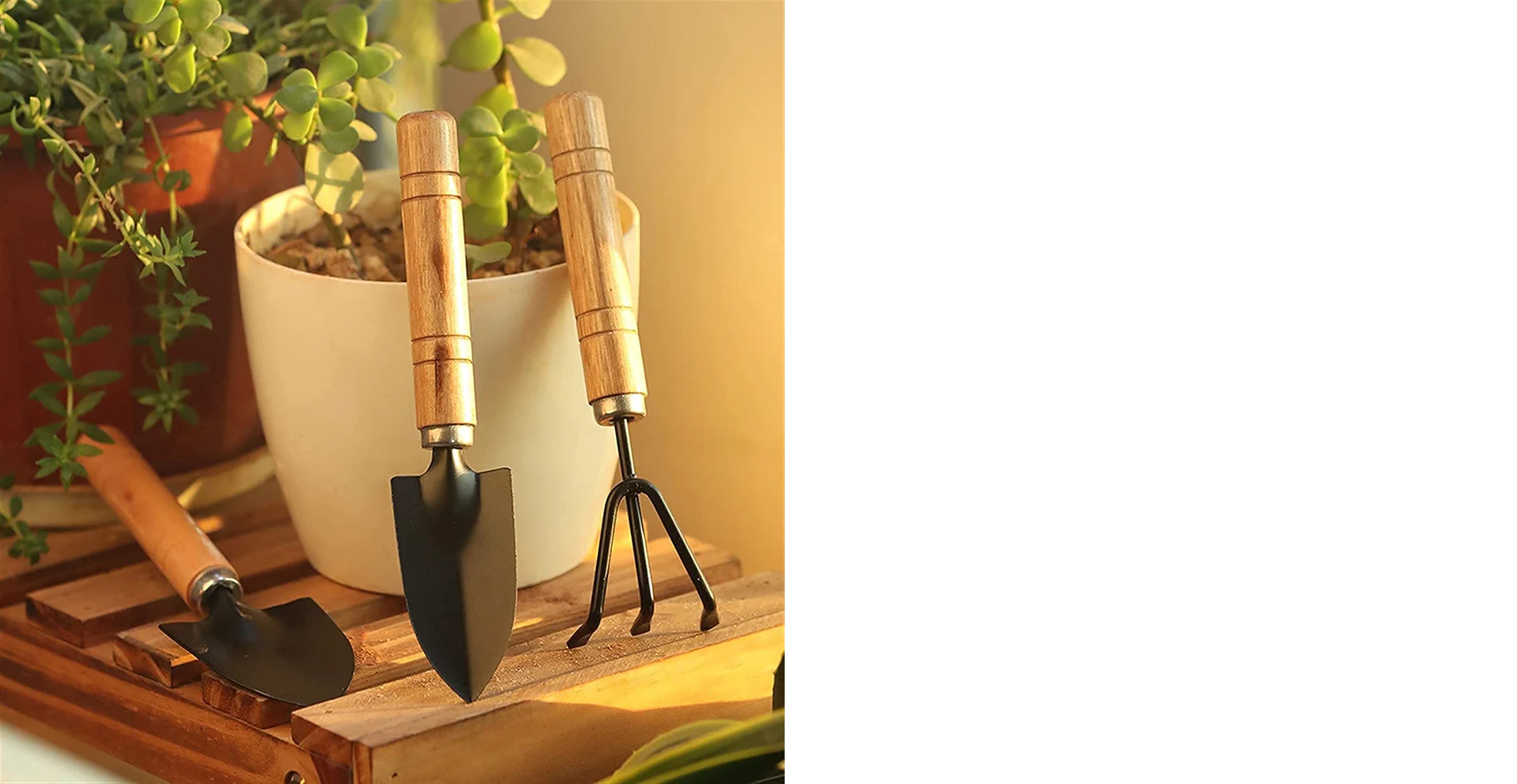 Small sized Hand Cultivator, Small Trowel, Garden Fork (Set of 3)