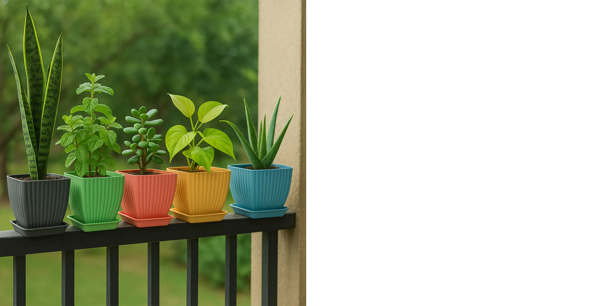 Garden & Outdoors