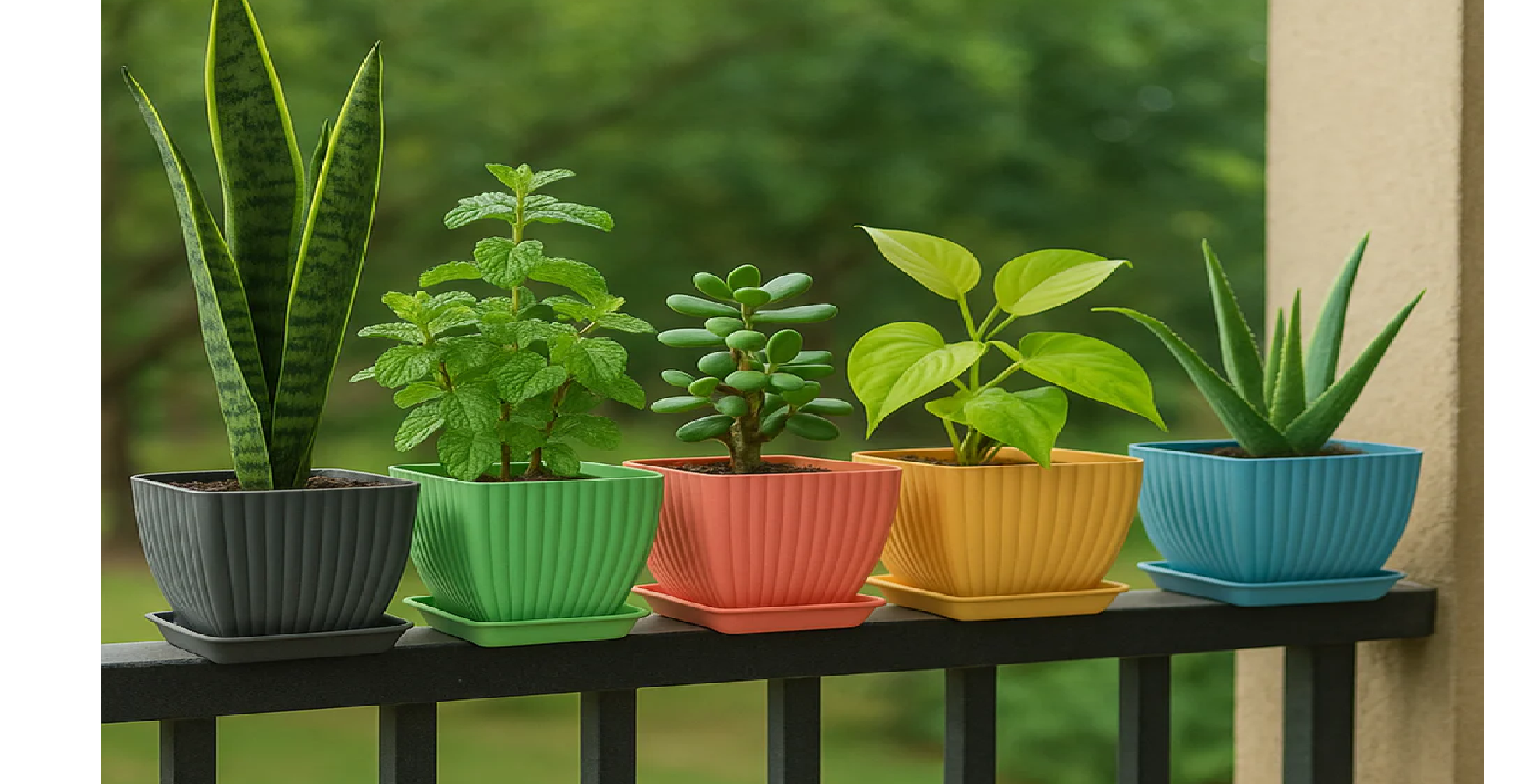Garden & Outdoors